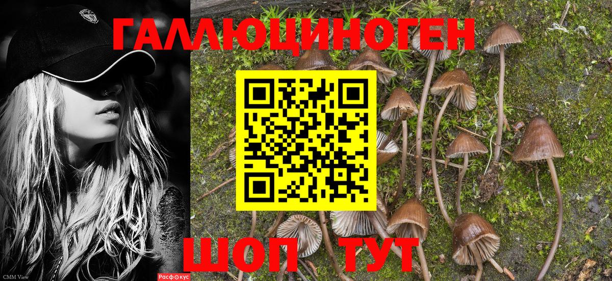 Галлюциногенные грибы Magic Shrooms  Вход с VPN  Еманжелинск 